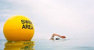 swim swim